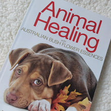 Load image into Gallery viewer, Flower Essences 20ml - jodie.freeyourself